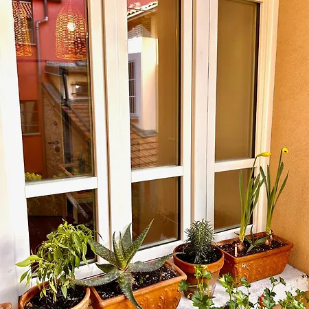 Viacoloniola37 Ferienhaus Como